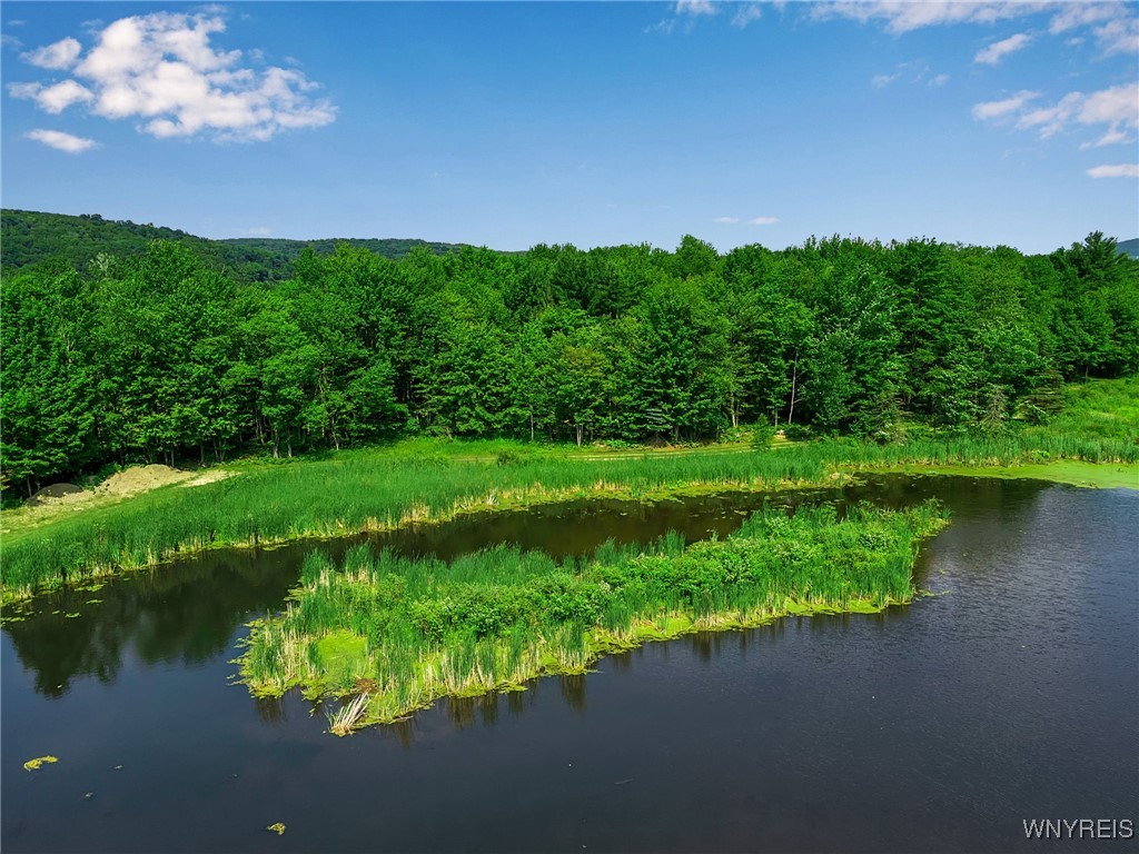 0 Toad Hollow Road Little Valley, NY 14755 - Photo 23 of 49