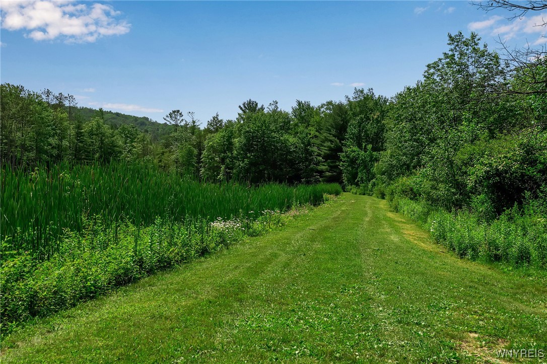 0 Toad Hollow Road Little Valley, NY 14755 - Photo 24 of 49