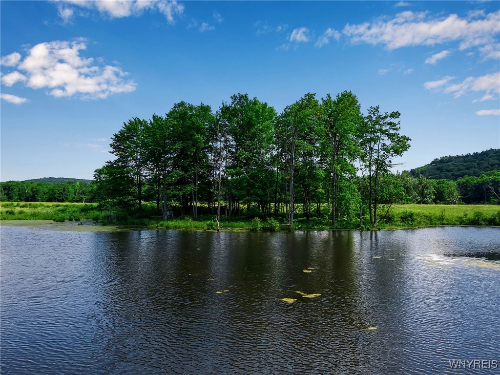 0 Toad Hollow Road Little Valley, NY 14755 - Photo 25 of 49