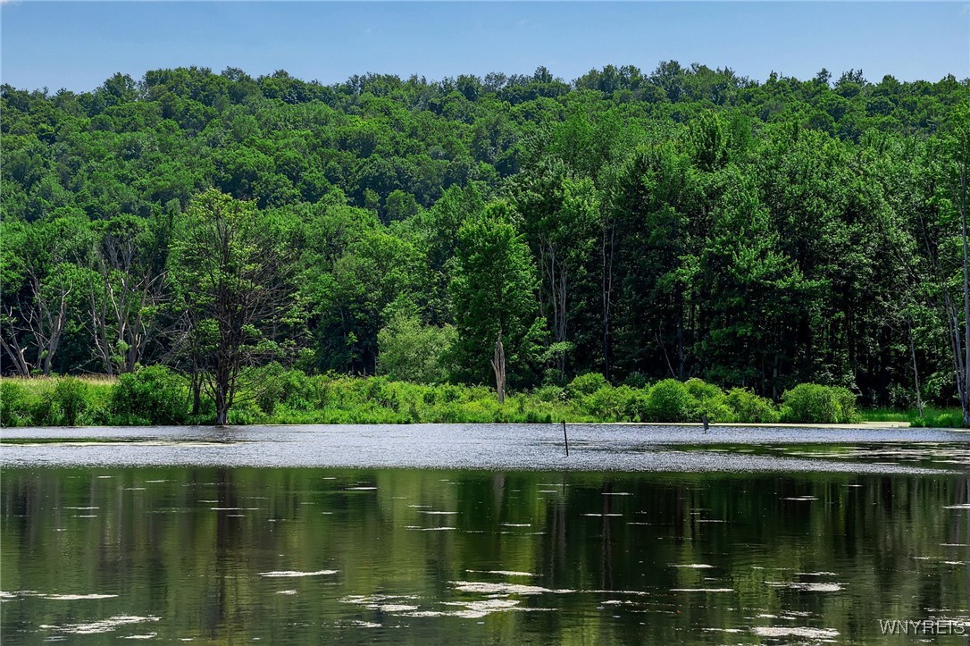 0 Toad Hollow Road Little Valley, NY 14755 - Photo 26 of 49