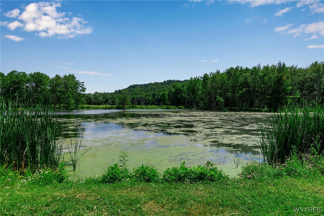 0 Toad Hollow Road Little Valley, NY 14755 - Photo 27 of 49