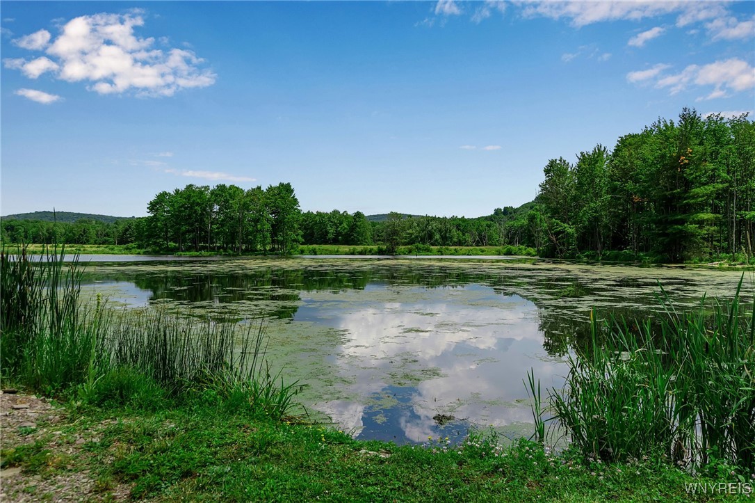 0 Toad Hollow Road Little Valley, NY 14755 - Photo 28 of 49
