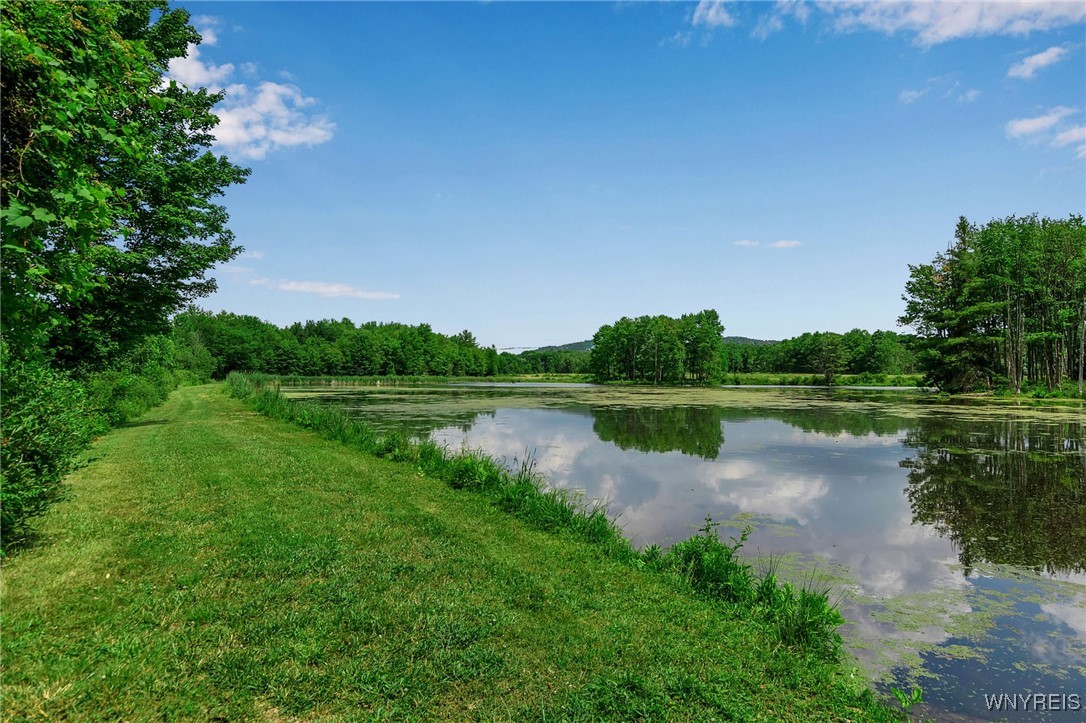 0 Toad Hollow Road Little Valley, NY 14755 - Photo 29 of 49