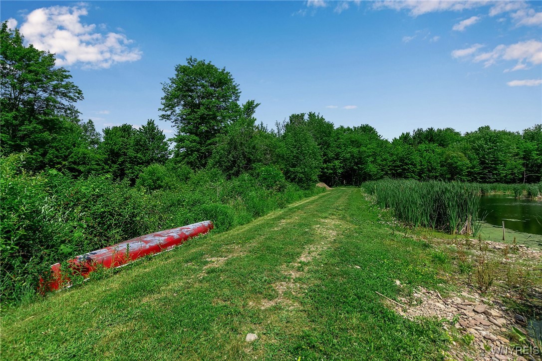 0 Toad Hollow Road Little Valley, NY 14755 - Photo 30 of 49