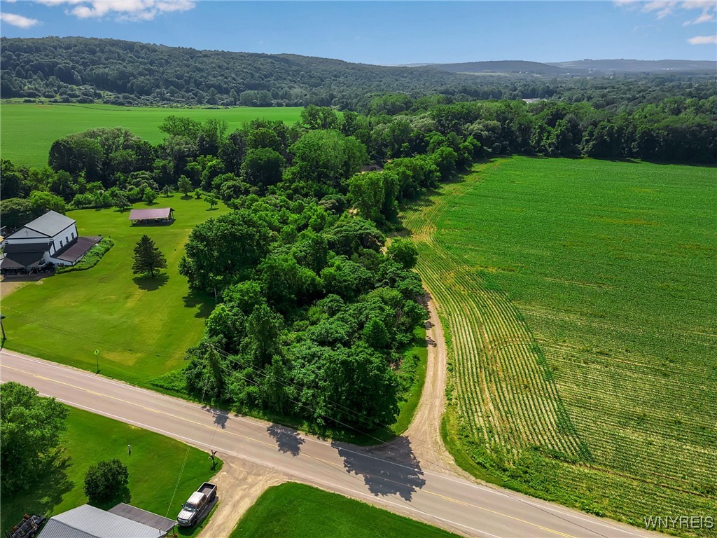 0 Toad Hollow Road Little Valley, NY 14755 - Photo 3 of 49