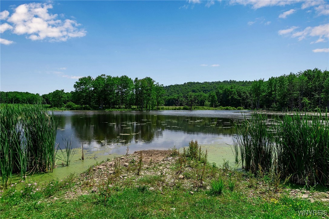 0 Toad Hollow Road Little Valley, NY 14755 - Photo 31 of 49