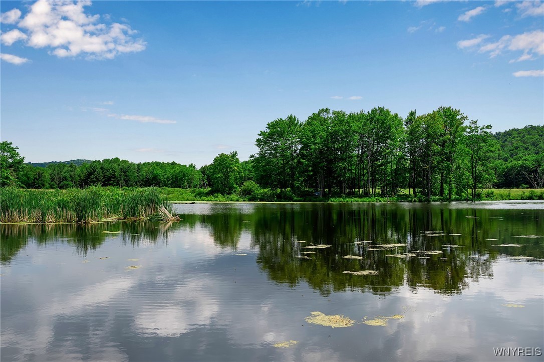 0 Toad Hollow Road Little Valley, NY 14755 - Photo 32 of 49