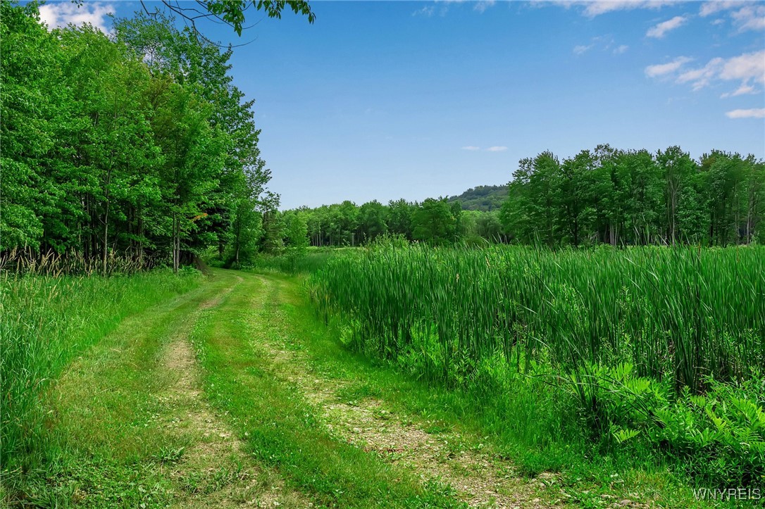 0 Toad Hollow Road Little Valley, NY 14755 - Photo 33 of 49