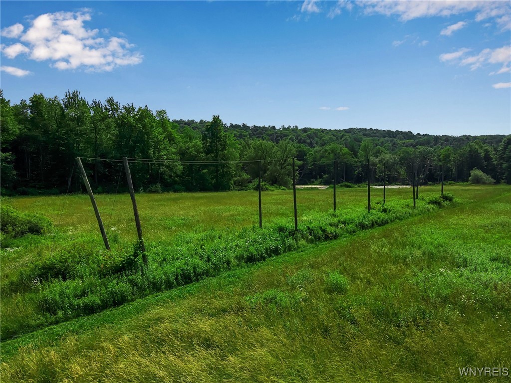 0 Toad Hollow Road Little Valley, NY 14755 - Photo 34 of 49