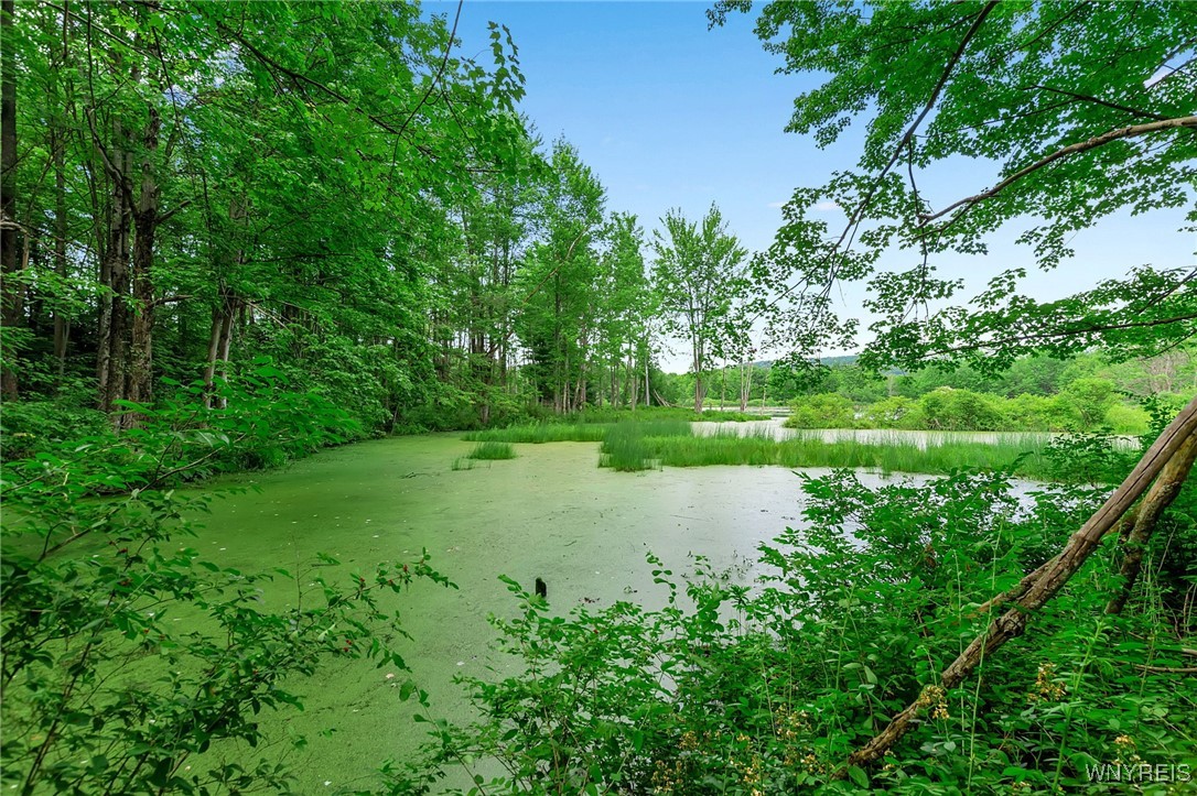 0 Toad Hollow Road Little Valley, NY 14755 - Photo 39 of 49