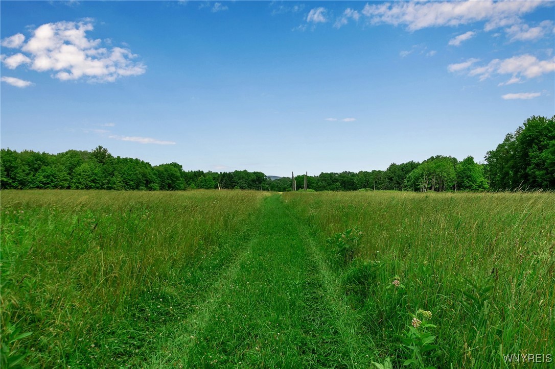 0 Toad Hollow Road Little Valley, NY 14755 - Photo 40 of 49