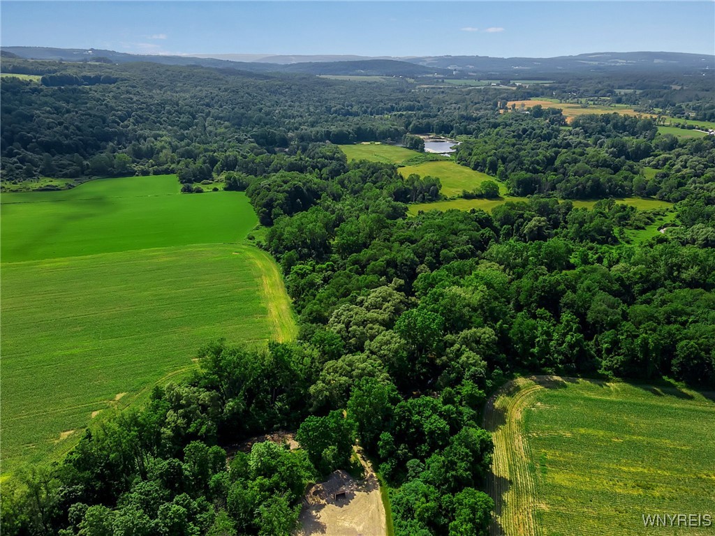 0 Toad Hollow Road Little Valley, NY 14755 - Photo 4 of 49