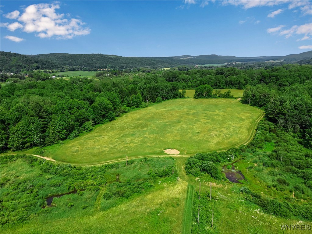 0 Toad Hollow Road Little Valley, NY 14755 - Photo 41 of 49