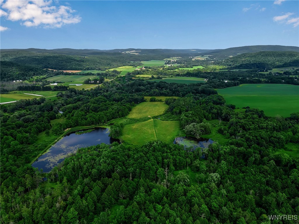 0 Toad Hollow Road Little Valley, NY 14755 - Photo 42 of 49