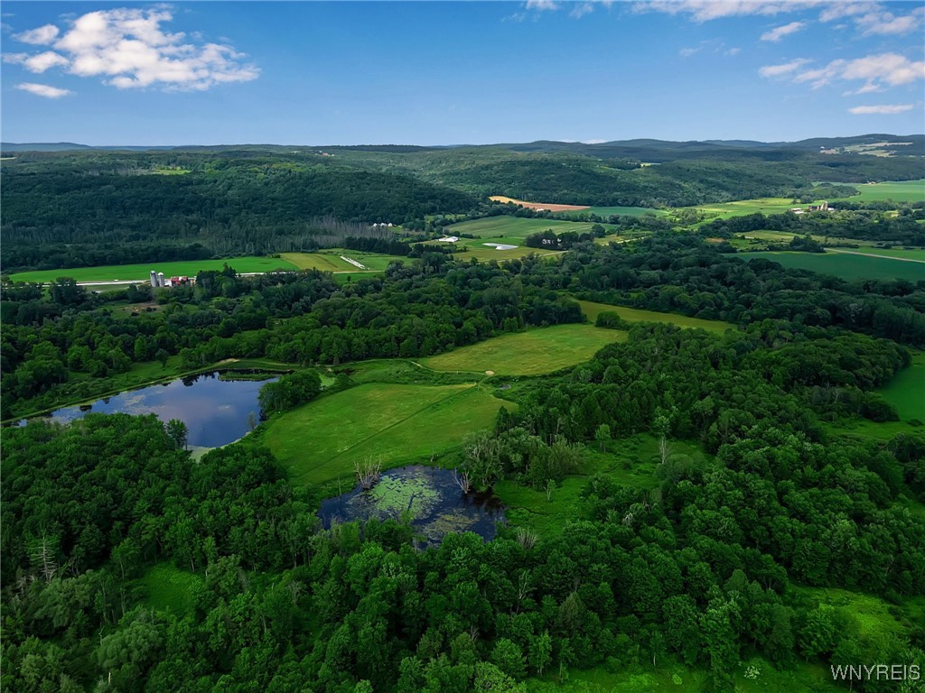 0 Toad Hollow Road Little Valley, NY 14755 - Photo 43 of 49