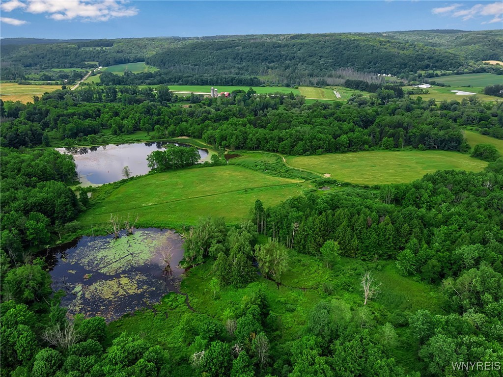 0 Toad Hollow Road Little Valley, NY 14755 - Photo 44 of 49