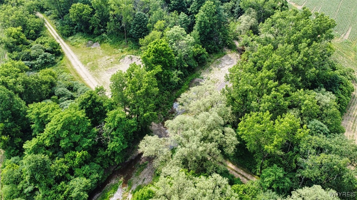 0 Toad Hollow Road Little Valley, NY 14755 - Photo 45 of 49