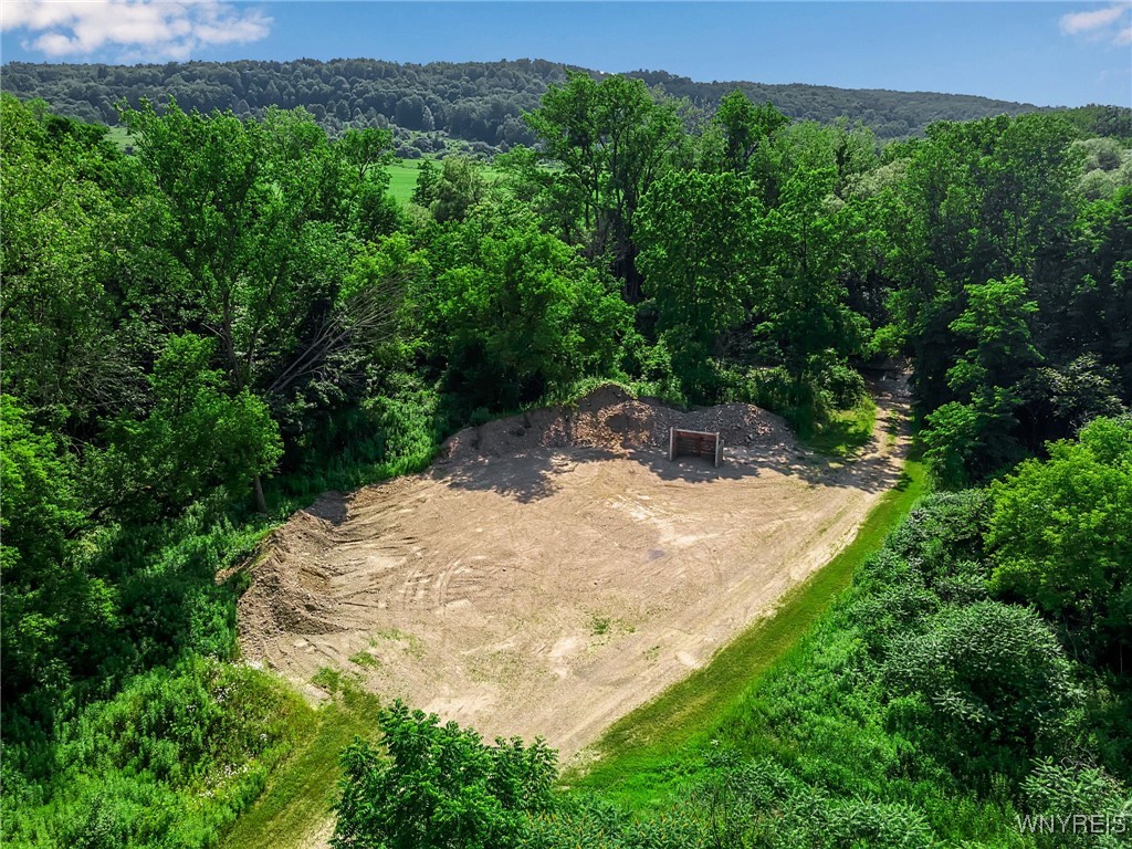 0 Toad Hollow Road Little Valley, NY 14755 - Photo 46 of 49