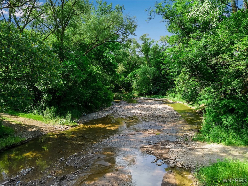 0 Toad Hollow Road Little Valley, NY 14755 - Photo 47 of 49