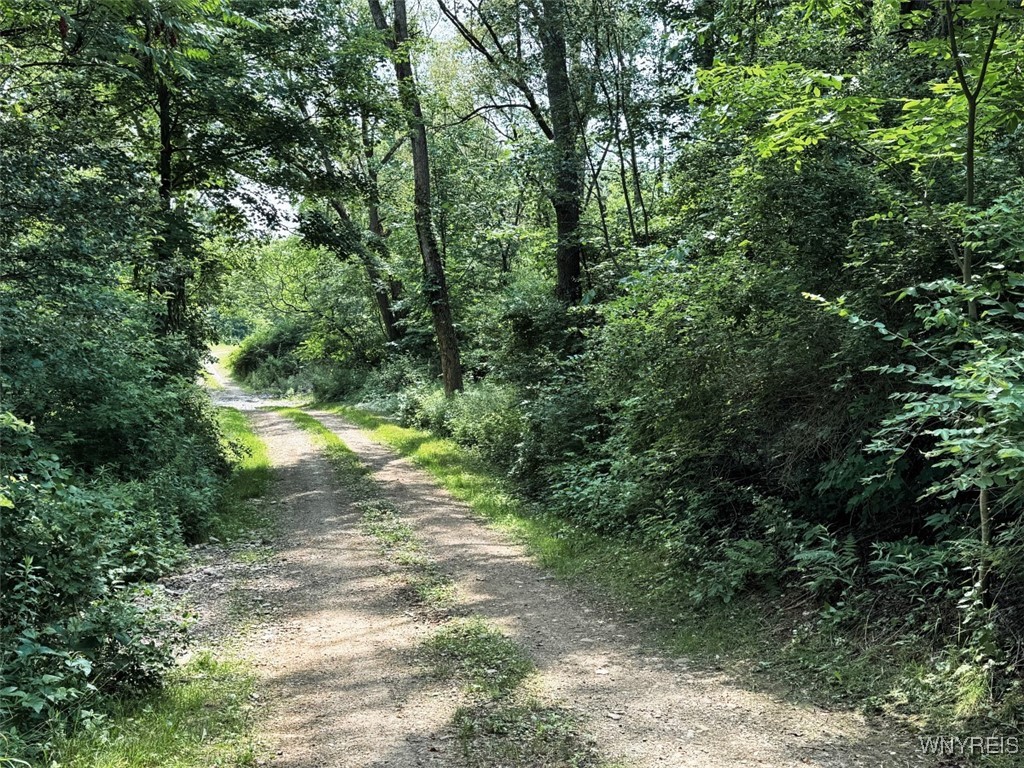 0 Toad Hollow Road Little Valley, NY 14755 - Photo 48 of 49