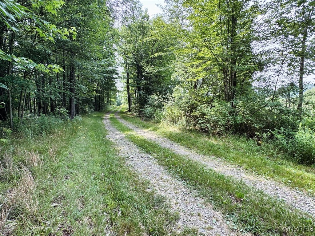 0 Toad Hollow Road Little Valley, NY 14755 - Photo 49 of 49