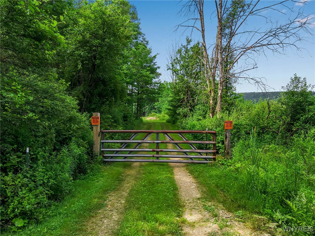 0 Toad Hollow Road Little Valley, NY 14755 - Photo 5 of 49