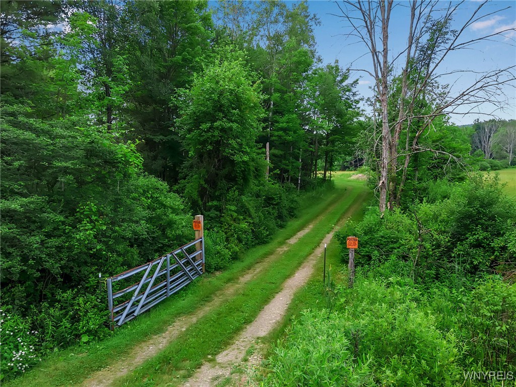 0 Toad Hollow Road Little Valley, NY 14755 - Photo 6 of 49