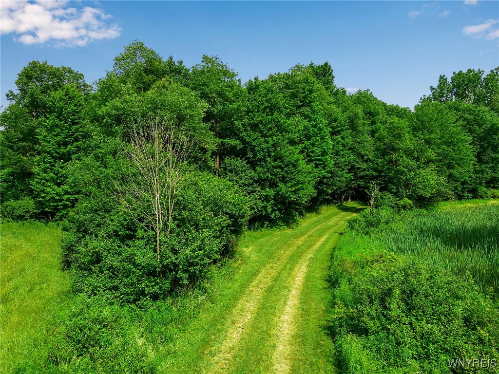 0 Toad Hollow Road Little Valley, NY 14755 - Photo 7 of 49