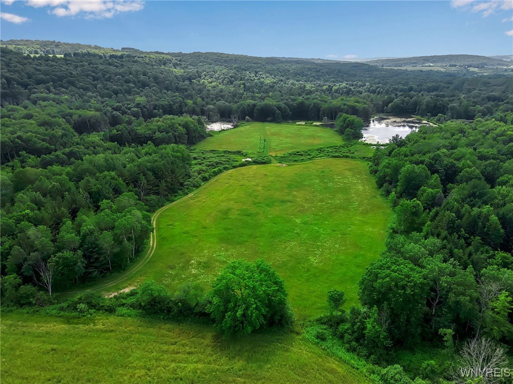 0 Toad Hollow Road Little Valley, NY 14755 - Photo 8 of 49