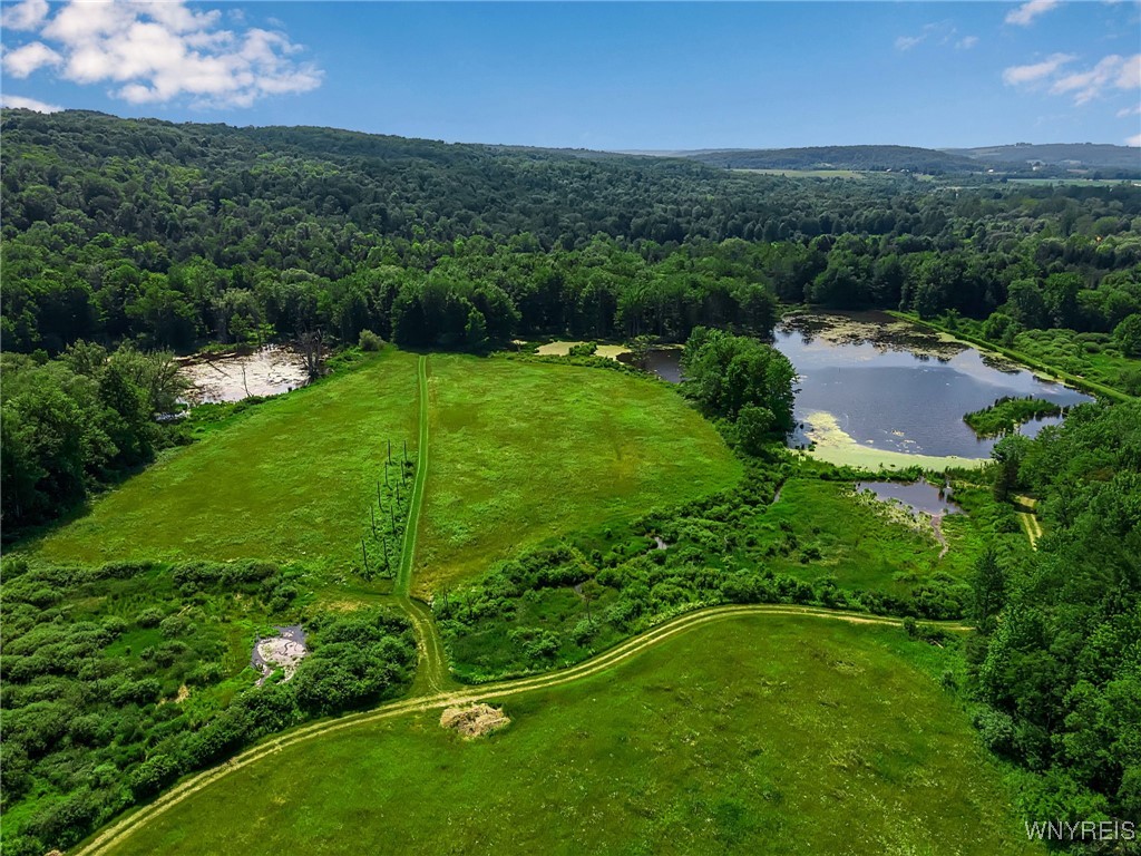 0 Toad Hollow Road Little Valley, NY 14755 - Photo 9 of 49