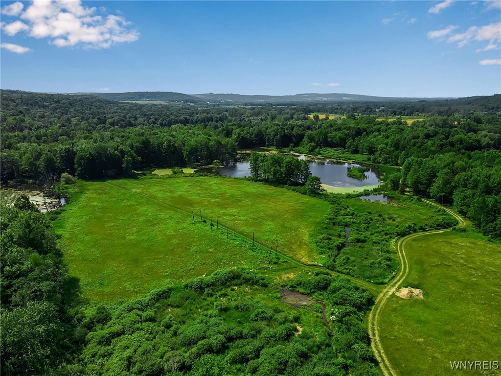 0 Toad Hollow Road Little Valley, NY 14755 - Photo 10 of 49