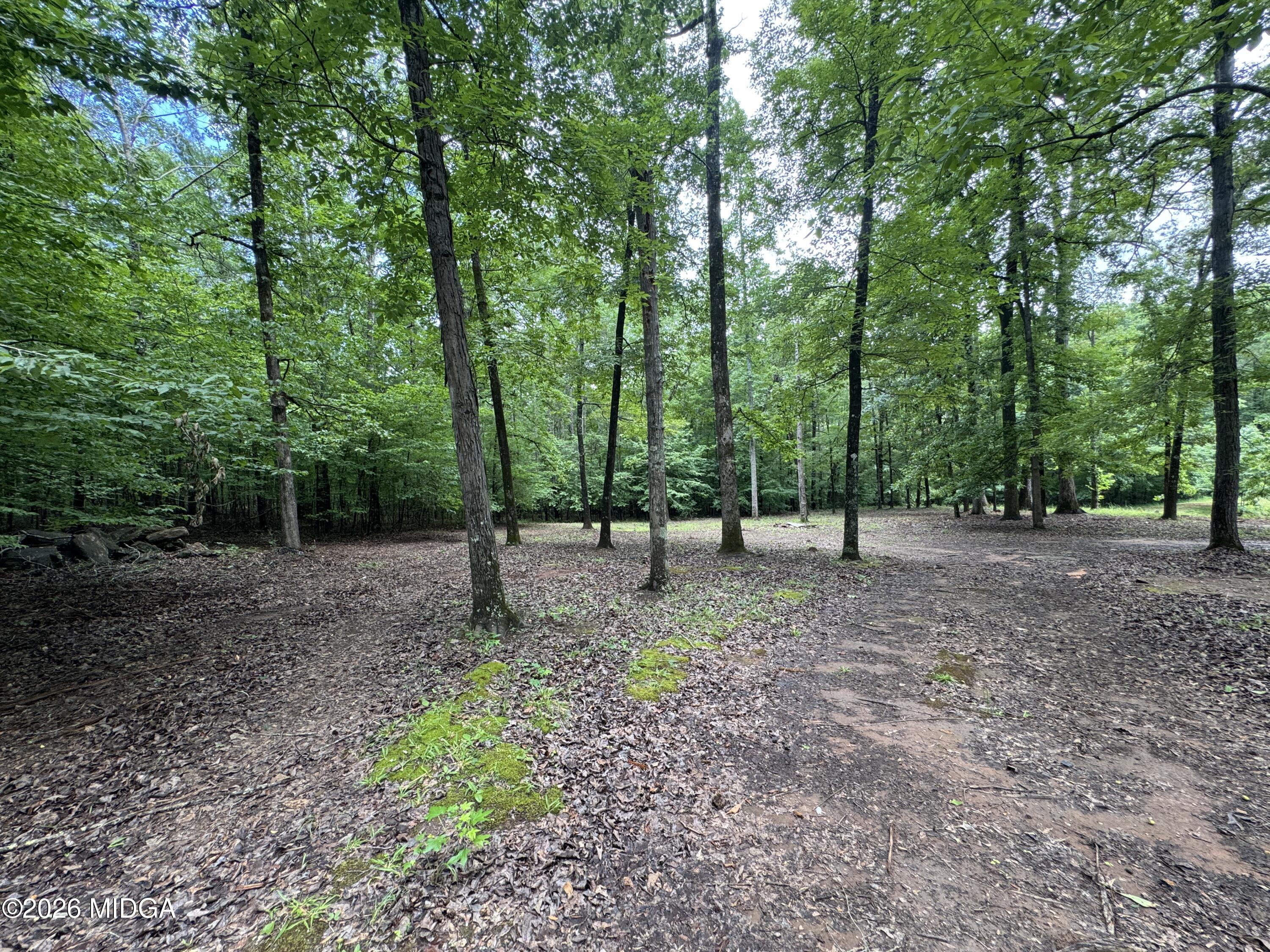 3413 Dames Ferry Road Forsyth, GA 31029 - Photo 11 of 23 10