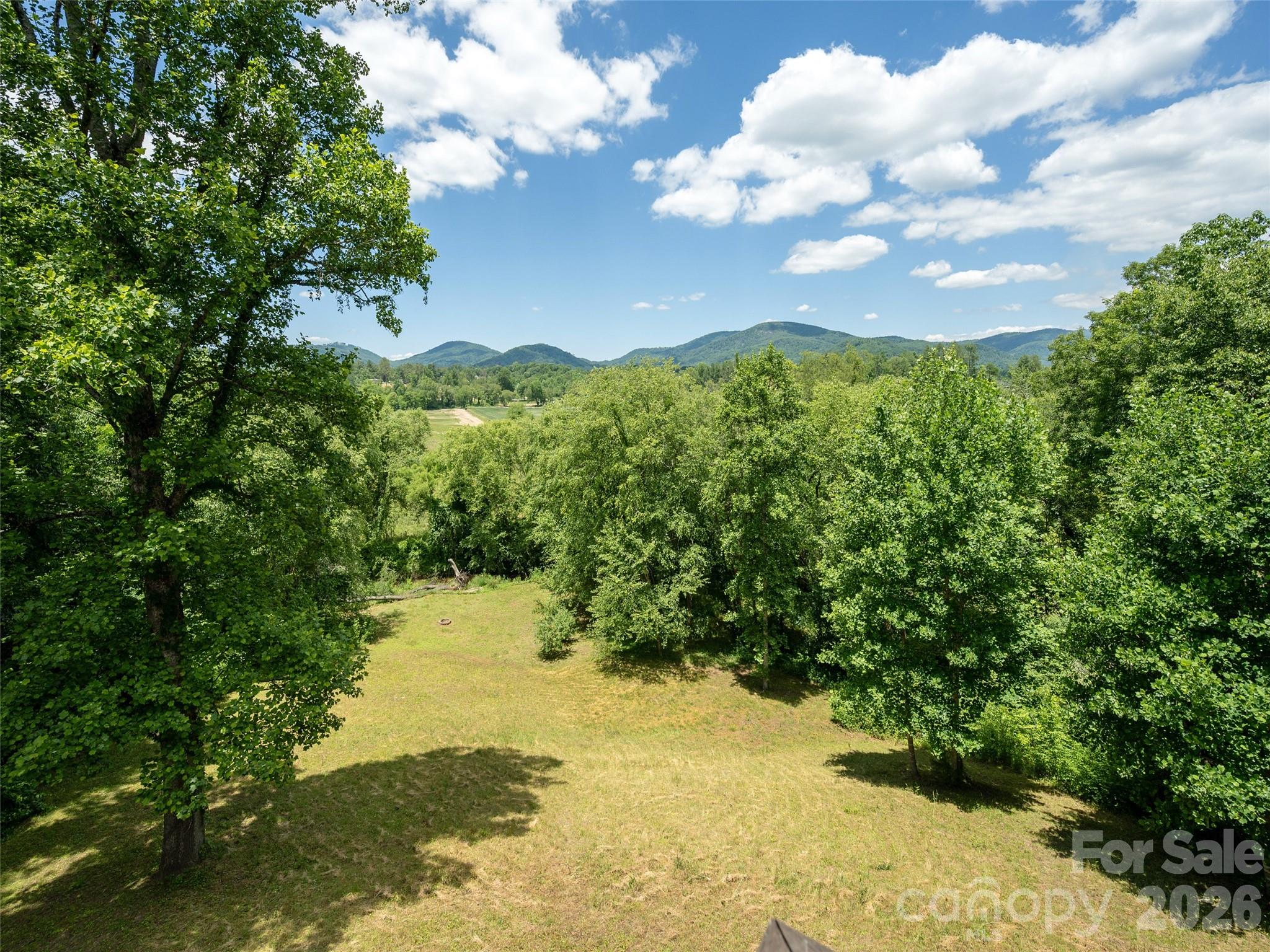 167 Tatham Road Hendersonville, NC 28792 - Photo 25 of 48