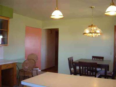 8101 Easton Road New Lothrop, MI 48460 - Photo 9 of 11 20221905-8.JPG
