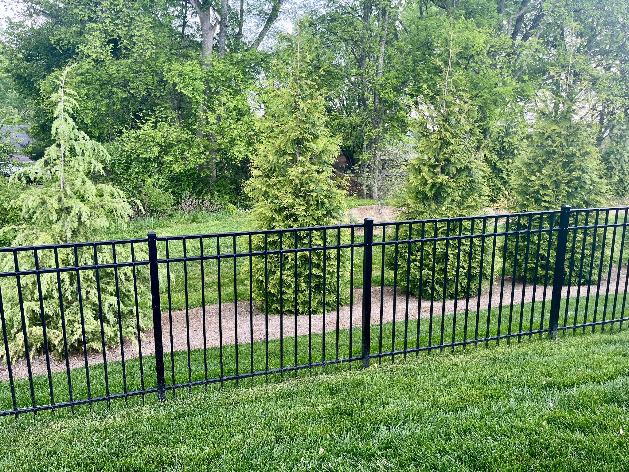 7546 Fermata Way Murfreesboro, TN 37128 - Photo 3 of 36