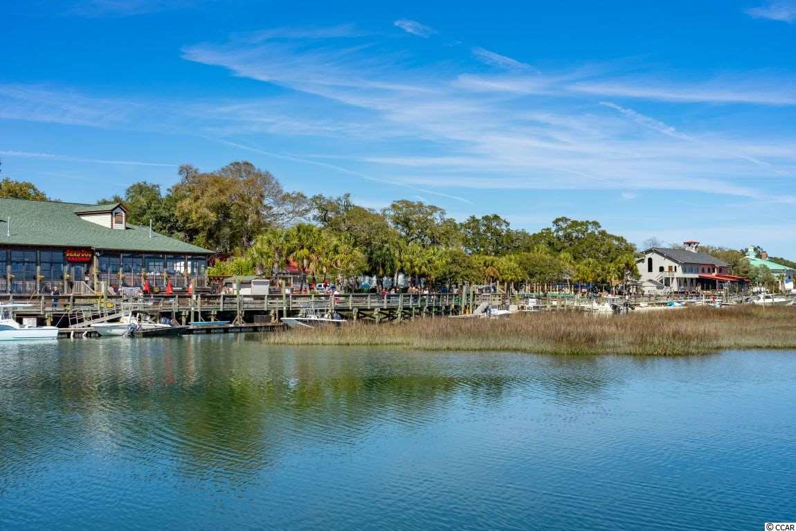 224 Pin Oak Drive Murrells Inlet, SC 29576 - Photo 26 of 39 Gallery Image 26