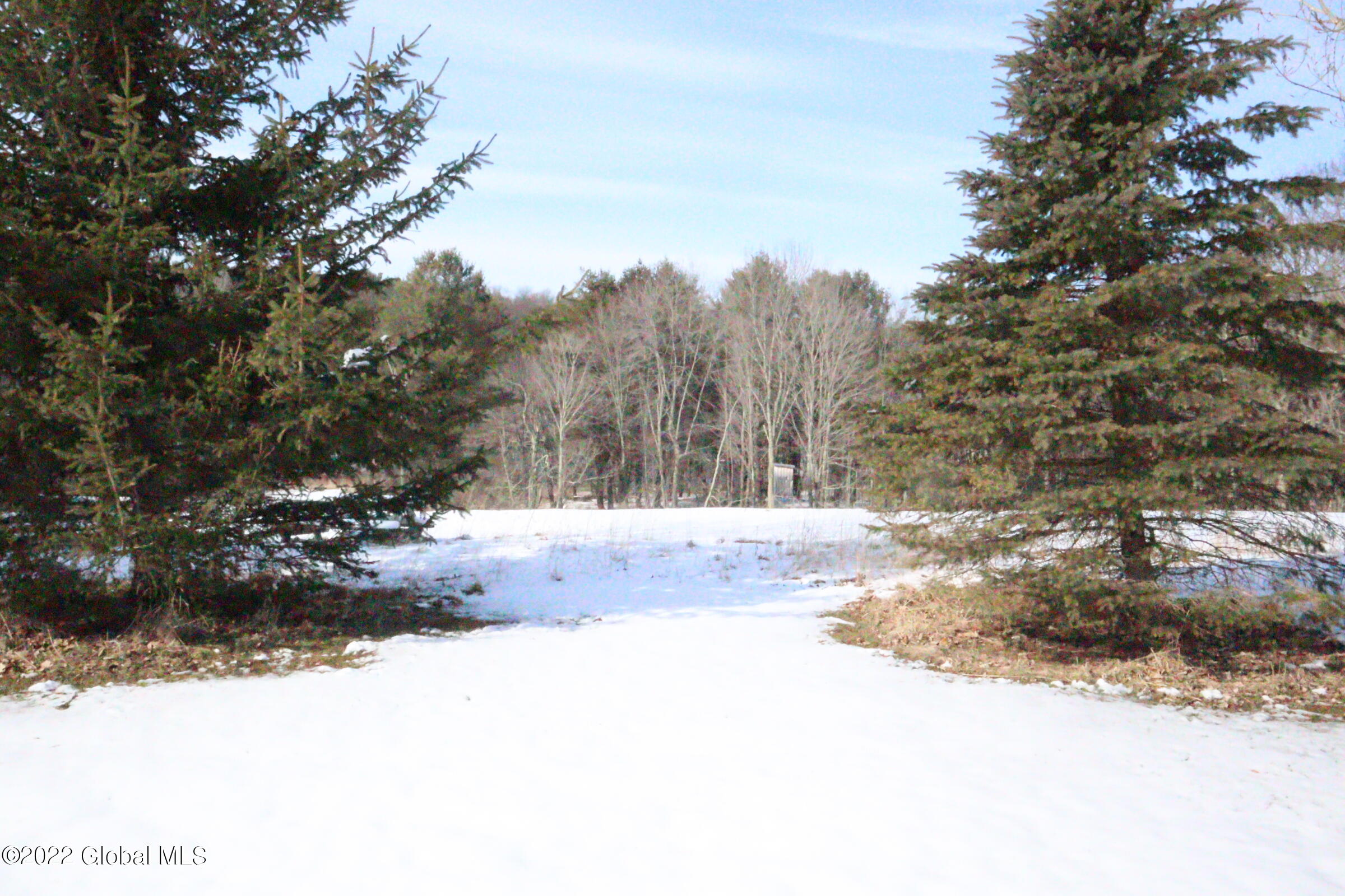 186 Leroy Road Gilboa, NY 12076 - Photo 11 of 38 03_10_2022_1913