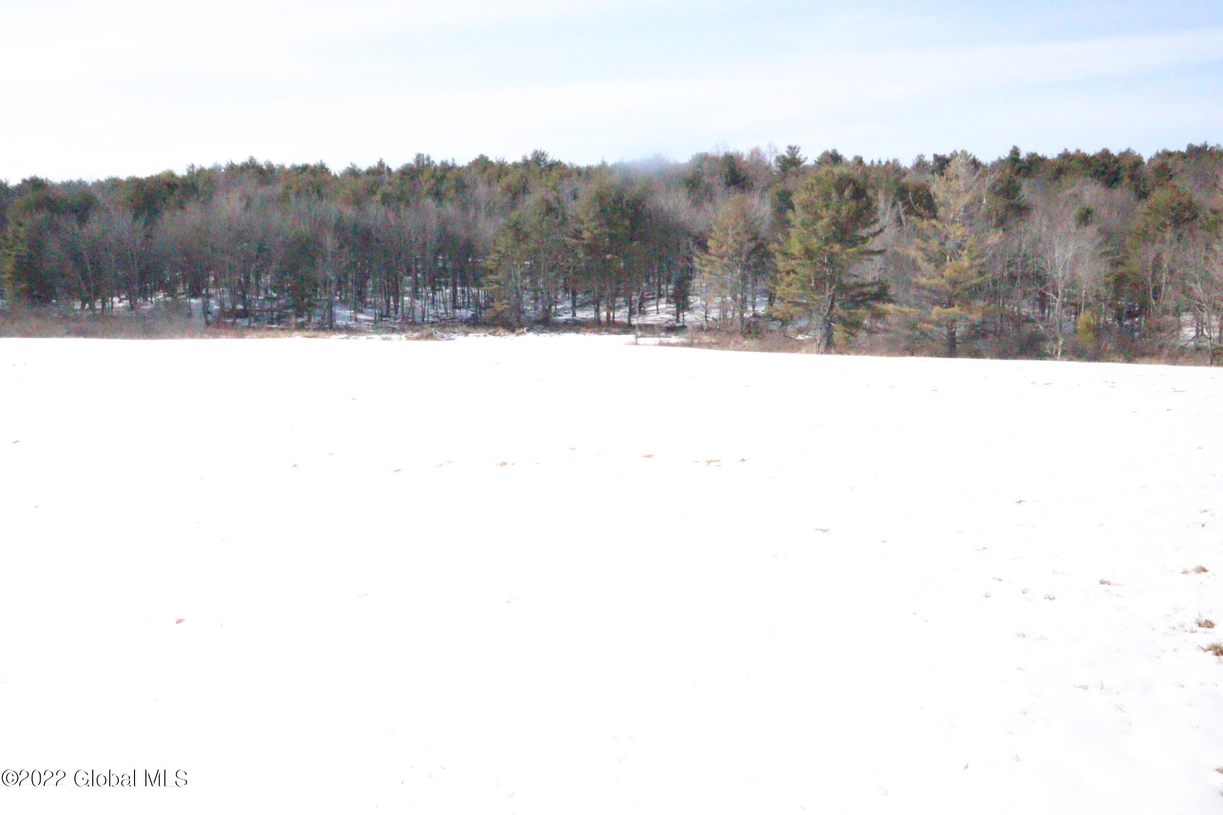 186 Leroy Road Gilboa, NY 12076 - Photo 13 of 38 03_10_2022_1915
