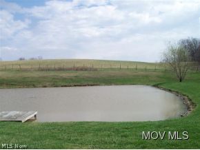 598 Wallace Road Little Hocking, OH 45742 - Photo 19 of 24 Pond