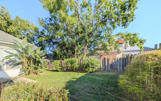 a view of a yard with plants and large trees