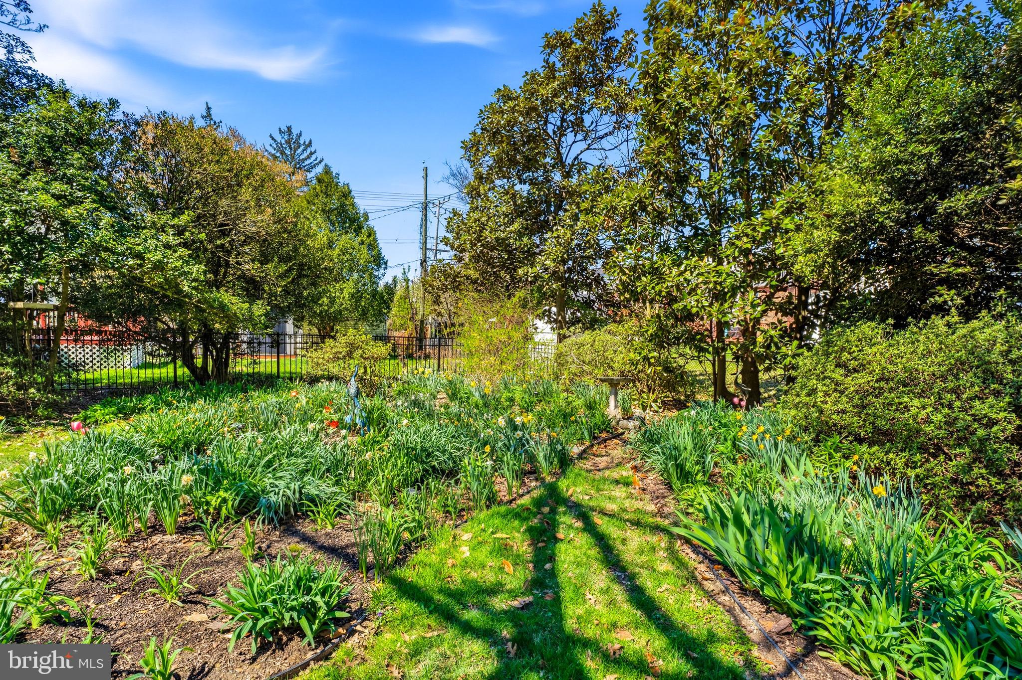 304 Brook Road Baltimore, MD 21286 - Photo 33 of 34 Rear Exterior