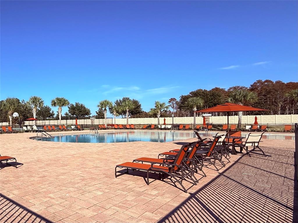 17618 Cortes Creek Boulevard Spring Hill, FL 34610 - Photo 40 of 40 a view of swimming pool with outdoor seating and yard in the back