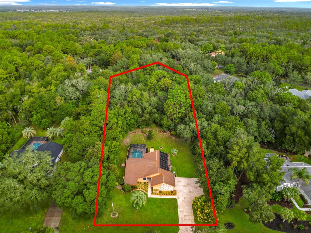 4353 North Indianhead Road Hernando, FL 34442 - Photo 3 of 65 an aerial view of residential houses with outdoor space and trees