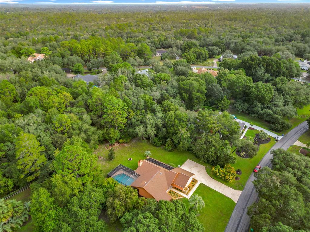 4353 North Indianhead Road Hernando, FL 34442 - Photo 54 of 65 an aerial view of residential house with outdoor space and trees all around