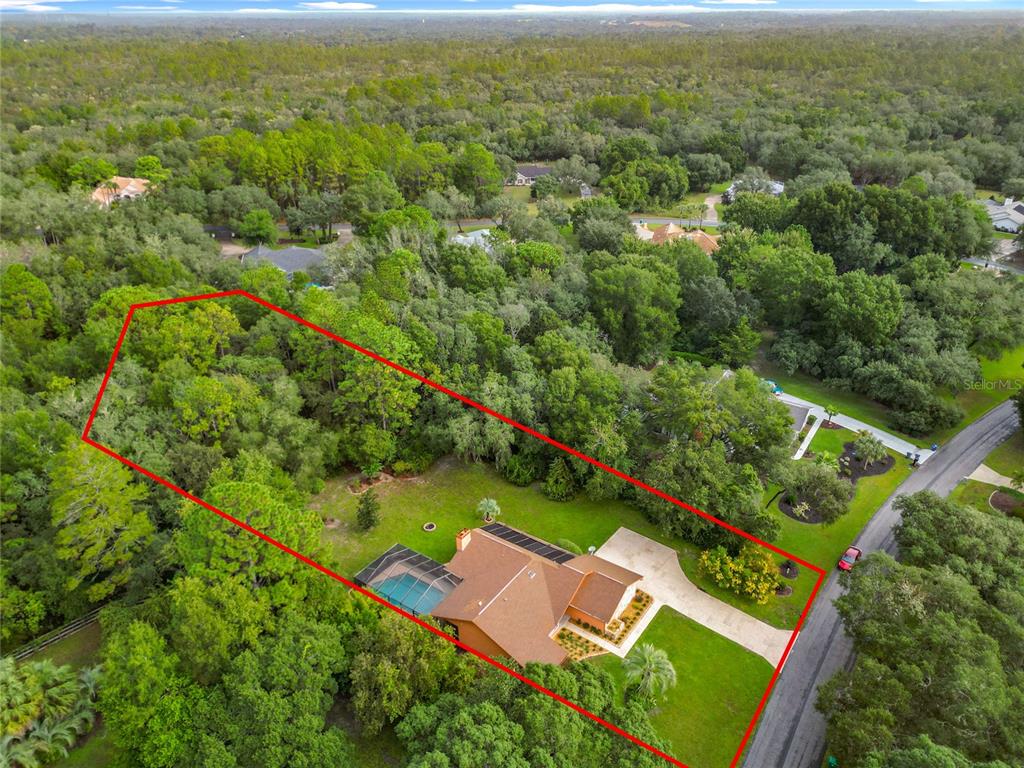 4353 North Indianhead Road Hernando, FL 34442 - Photo 63 of 65 an aerial view of residential houses with outdoor space and trees