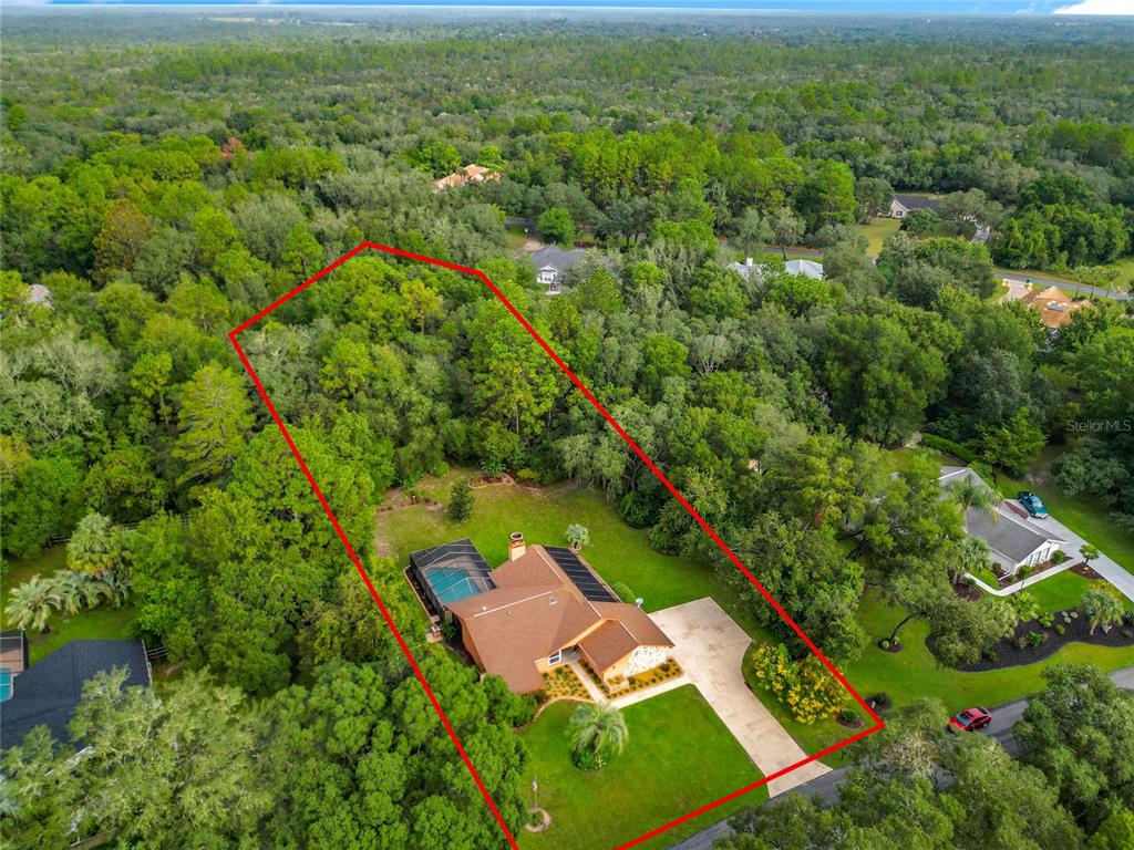 4353 North Indianhead Road Hernando, FL 34442 - Photo 64 of 65 an aerial view of residential houses with outdoor space and trees