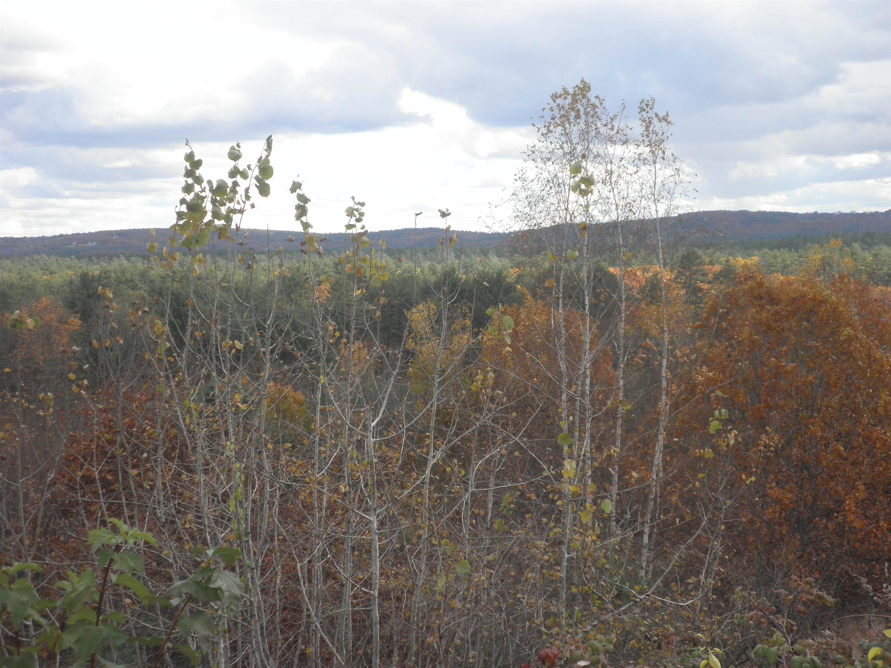 86 Chase Farm Road Hopkinton, NH 03229 - Photo 22 of 28