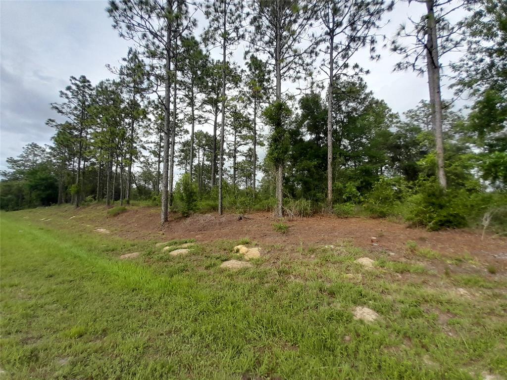 Tbd Southeast 71st Place Morriston, FL 32668 - Photo 3 of 9