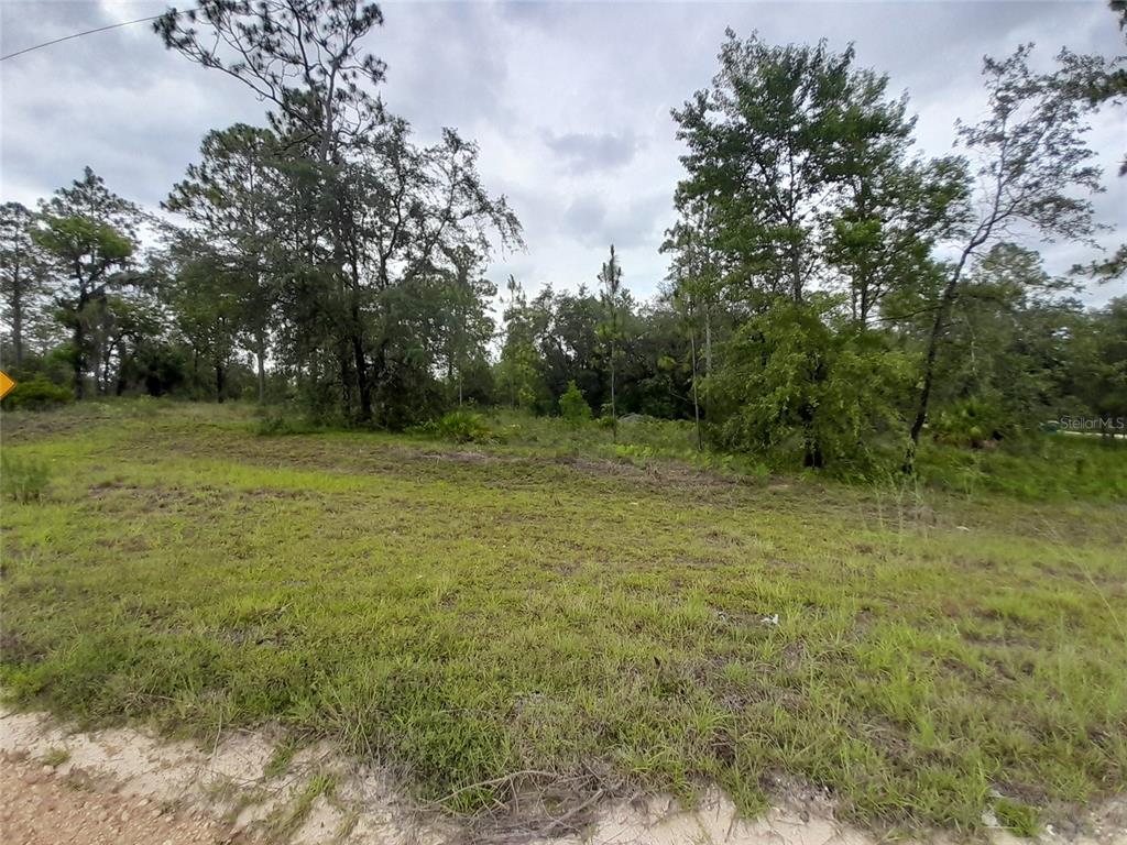 Tbd Southeast 71st Place Morriston, FL 32668 - Photo 4 of 9