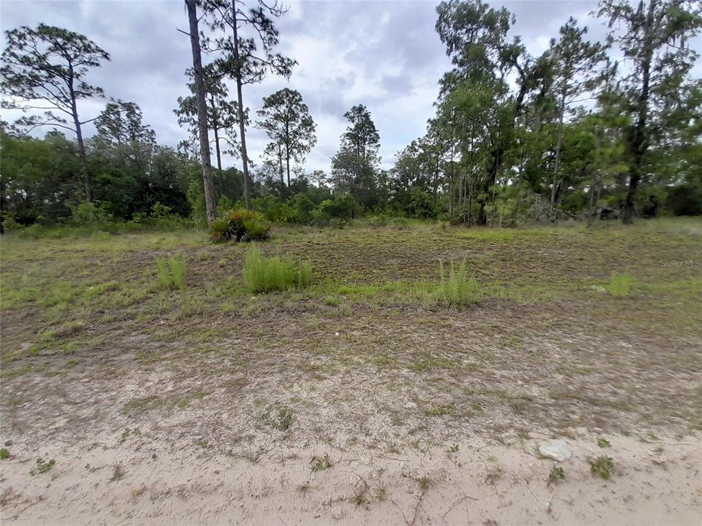 Tbd Southeast 71st Place Morriston, FL 32668 - Photo 7 of 9